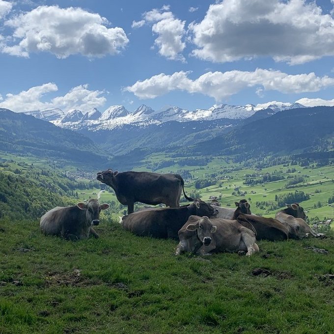 Chüeh und Churfirste – eifach unschlagbar
  (Bild: Fabio Giger)