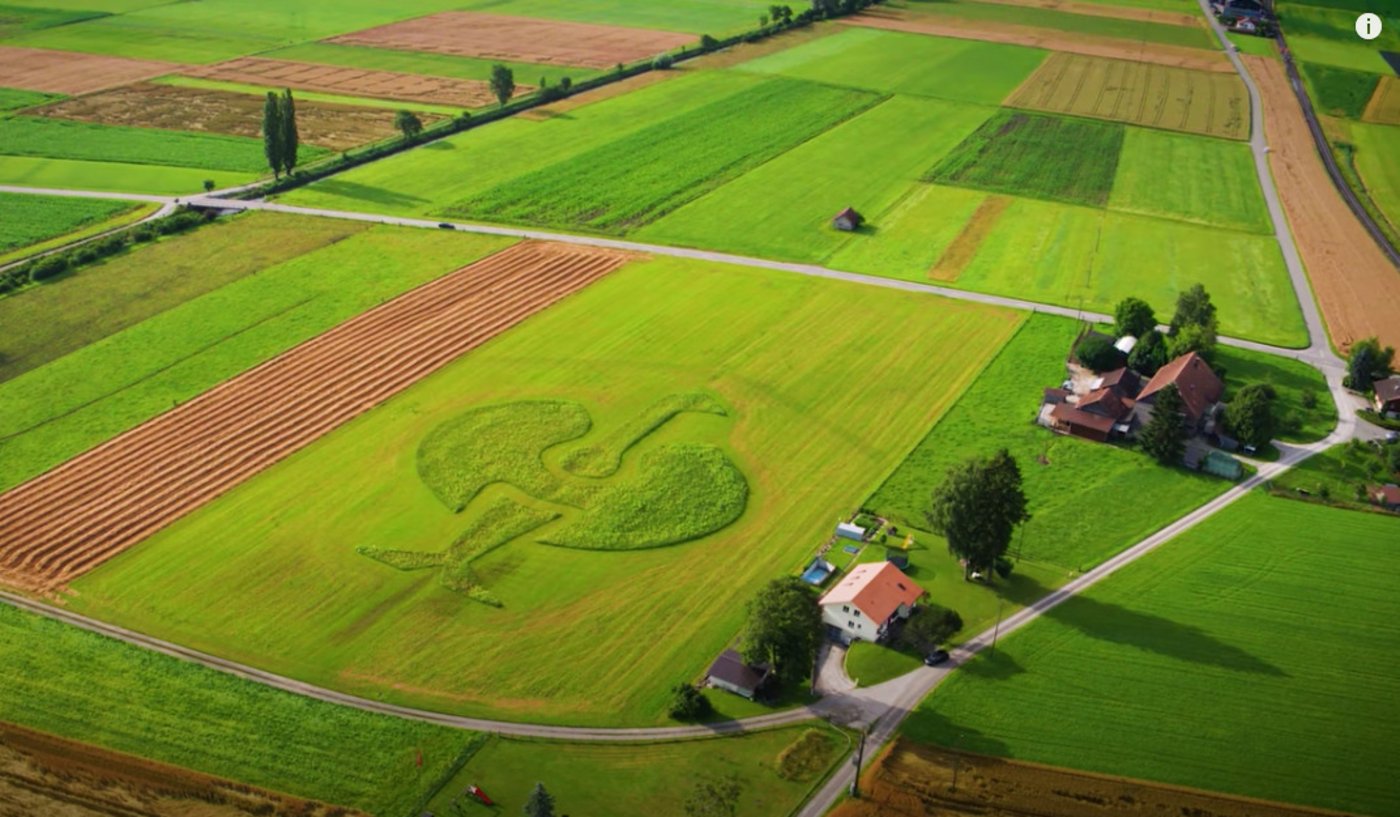 Adrian Wenger hat auf seinem Hof einen Strauss aus blühenden Blumen ins Feld gemacht. (Bild Screenshot)