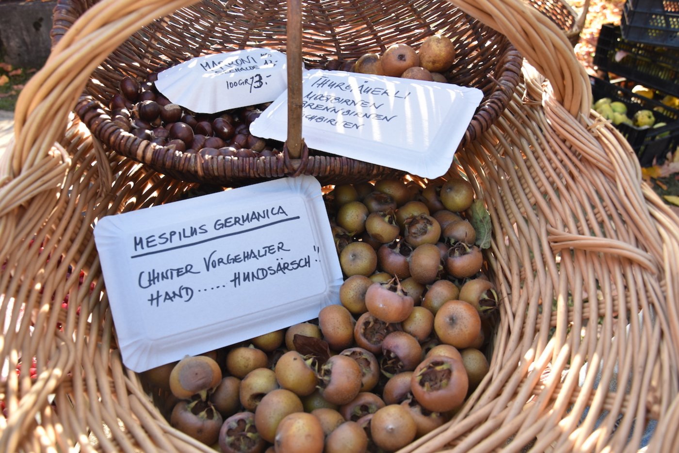oder Mispeln. (Bild noe)