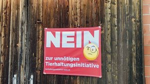Solche Fahnen sollen im Kanton Luzern nicht zulässig sein, wenn sie länger als sechs Wochen vor einer Abstimmung hängen.