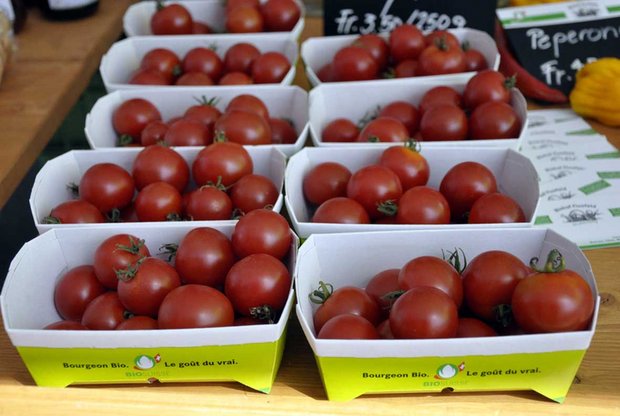Bio-Gemüse wie Tomaten verkauft sich gut. (Bild Bio Suisse)