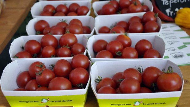 Bio-Gemüse wie Tomaten verkauft sich gut. (Bild Bio Suisse)