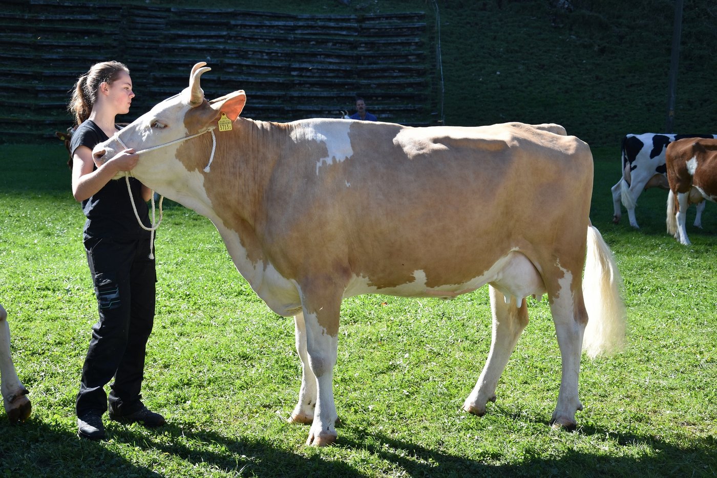Auch die Jugend hilft eifrig mit.
