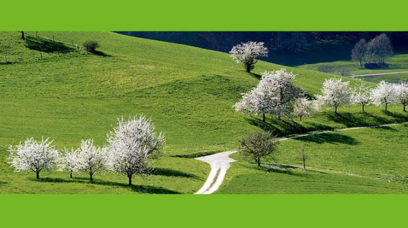 In knapp zwei Wochen werden zwei Reisegruppen die touristische Seite der Schweizer Landwirtschaft entdecken und mit ihrer Zuschauerschaft teilen. (Bild Agrotourismus Schweiz)