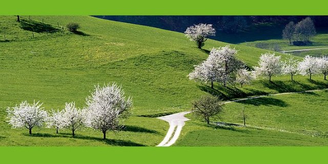 In knapp zwei Wochen werden zwei Reisegruppen die touristische Seite der Schweizer Landwirtschaft entdecken und mit ihrer Zuschauerschaft teilen. (Bild Agrotourismus Schweiz)