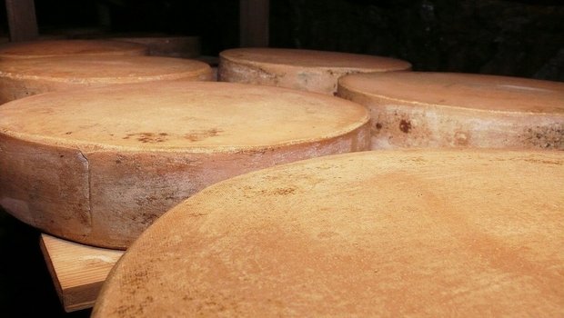Käse verkauft sich im Ausland gut, was den Export attraktiv macht. (Bild moritz320 / Pixabay)