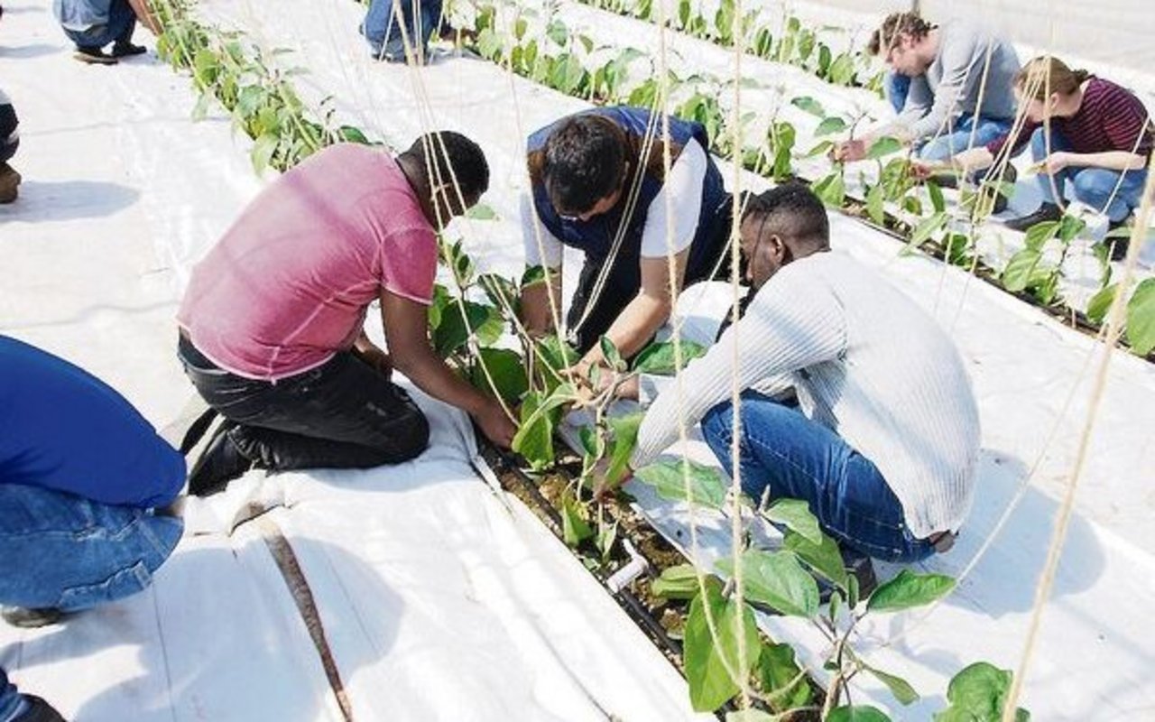 2019 setzte man noch grosse Hoffnungen in das Projekt Invol: Junge Eritreer an einem Schnuppertag.