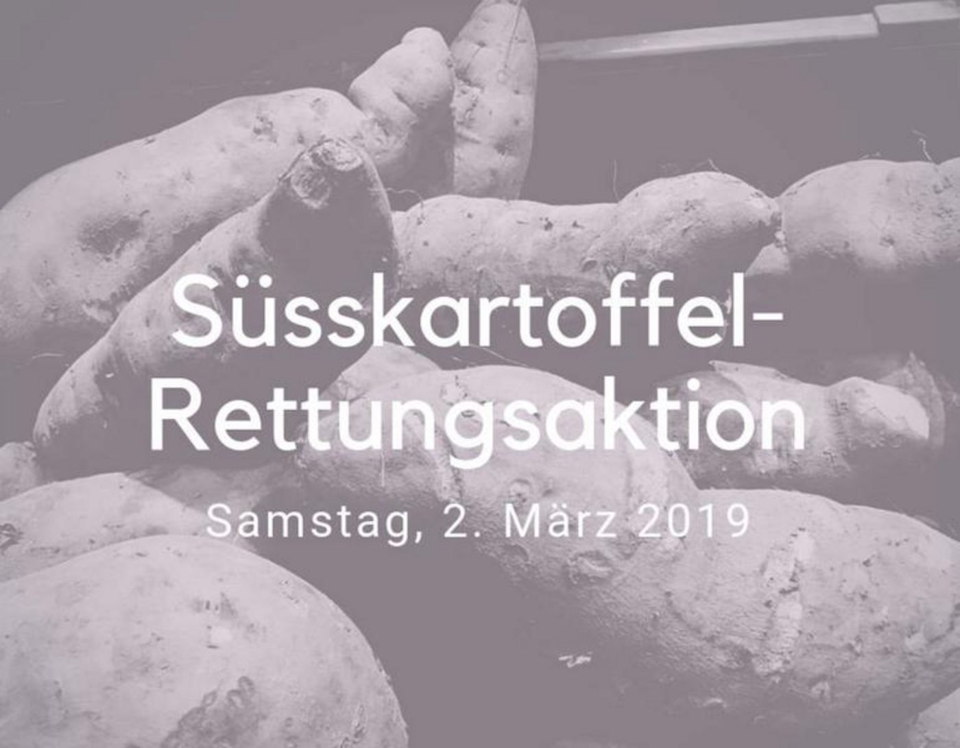 Der Verein Grassrootet will 3 Tonnen Süsskartoffeln retten. (Bild Facebook/Grassrootet)