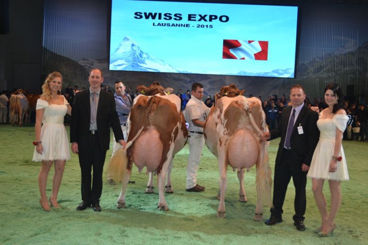 Senior Schöneuter (rechts): Plattery Savard Renita, Christian Menoud, Romanens / Reserve Senior Schöneuter (links): Sam Kalinka, Roger Frossard, Les Pommerats