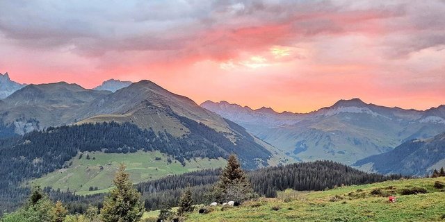 Der Herbst hält Einzug, die Sonne kommt morgens immer später –  dafür kommt das Alpteam in den Genuss eines prächtigen Morgenrots. 