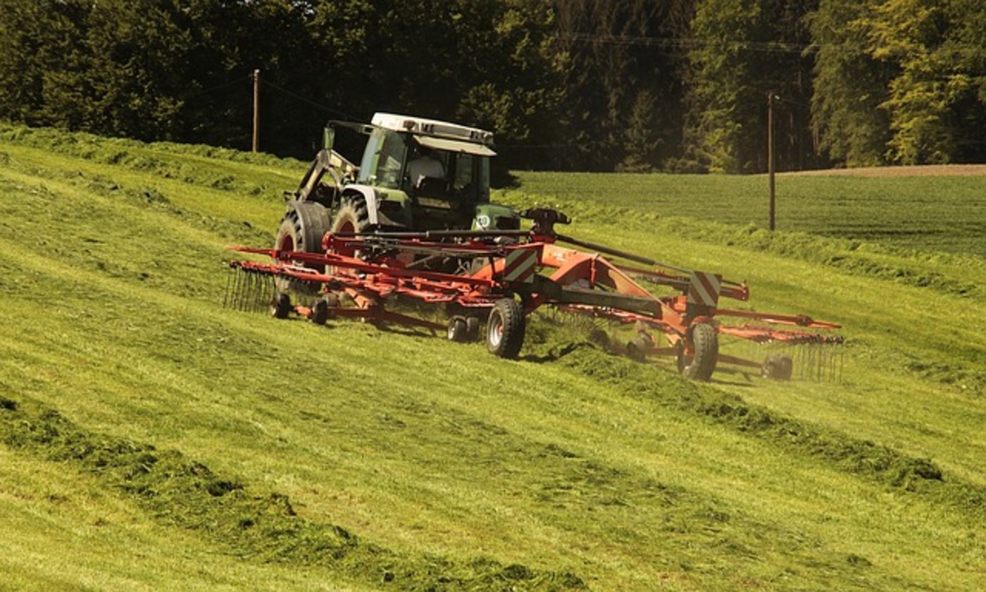 Der Landwirt geriet unter seinen Traktor, als dieser am Hang umkippte. (Bild pixabay)