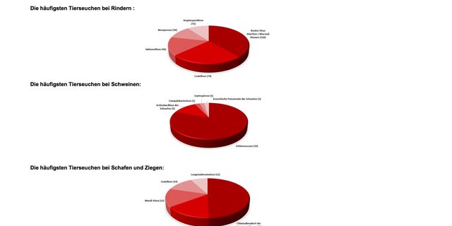 Bei den Rindern ist der Spitzenreiter das Bovine Virus Diarrhoe / Mucosal Disease.