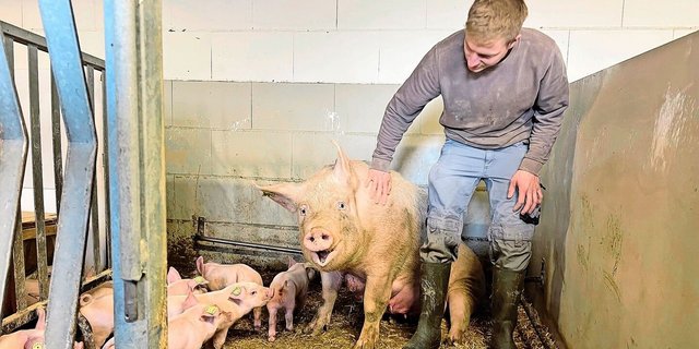 Glück im Stall: Für die UFA-2000-Betriebe war 2024 ein gutes Jahr.