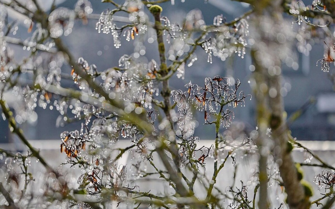 Manchmal zaubert wenig schönes Wetter umso schönere Sujets vor die Kamera.