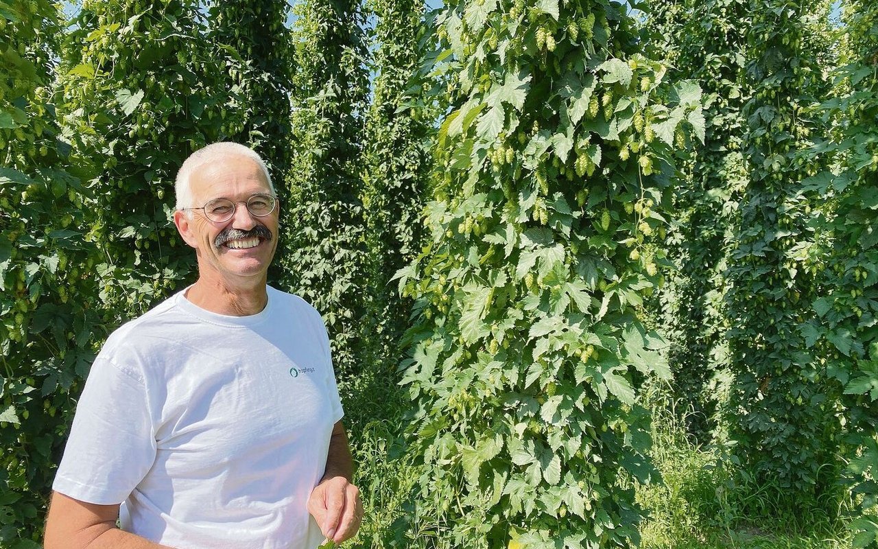 Landwirt, Hopfenproduzent und Präsident der Genossenschaft für Schweizer Hopfen Stefan Ulrich im August vor einer seiner Hopfenparzellen in Unterstammheim ZH. Die Stauden wachsen innert vier Monaten auf rund sieben Meter Höhe an. 