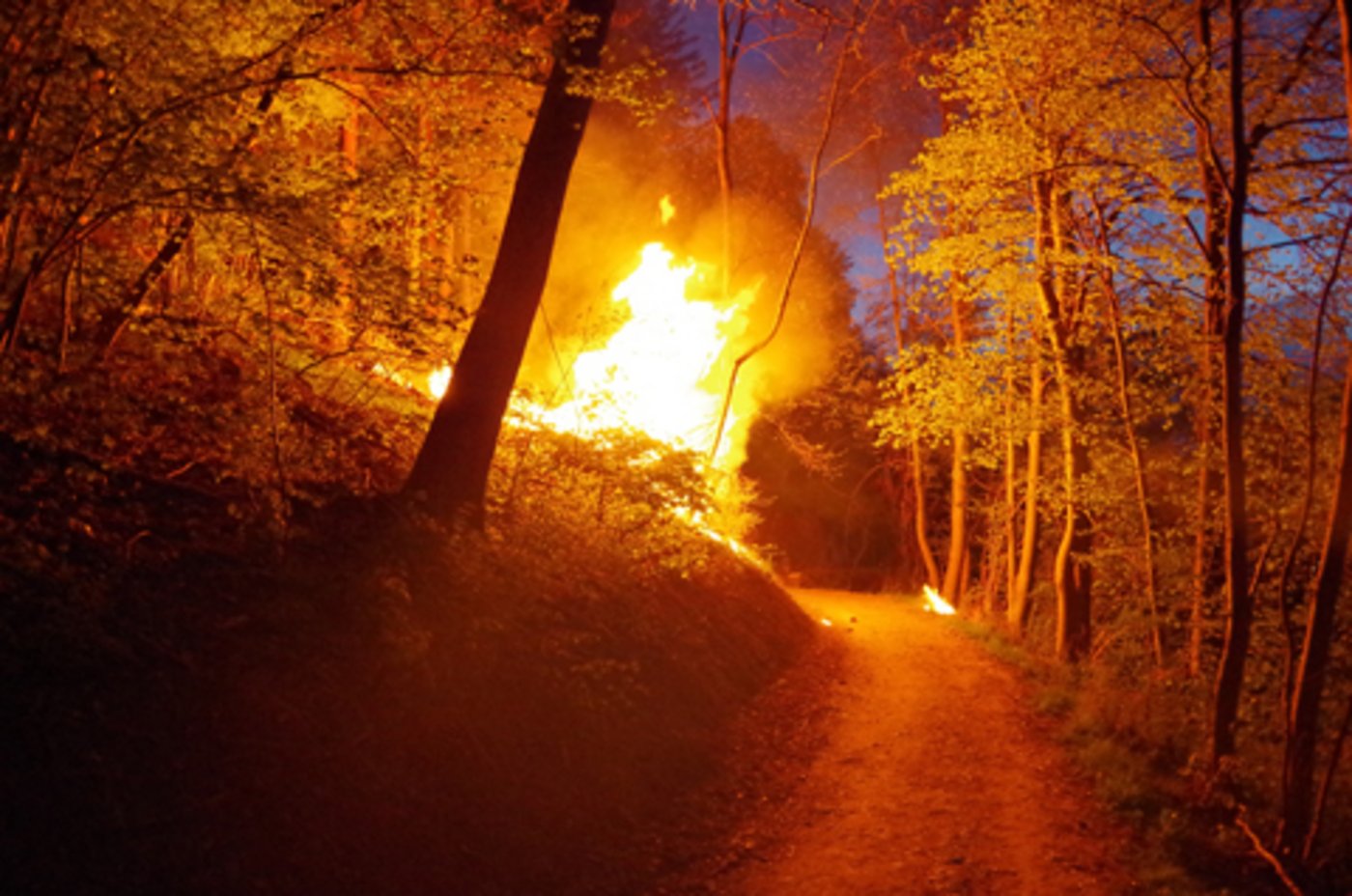 ... ein Waldstück dicht oberhalb eines Wanderwegs war in Brand geraten. 