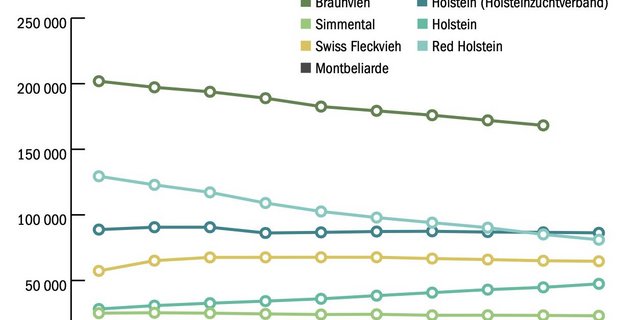 Die Verlierer und Gewinner des Strukturwandels bei den Milchkuhrassen zeigt ein Blick in die Herdebücher. (Grafik mi/Quelle Swissherdbook, Holstein Switzerland, Braunvieh Schweiz)