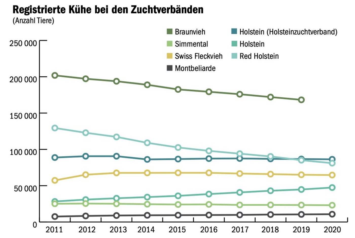 Die Verlierer und Gewinner des Strukturwandels bei den Milchkuhrassen zeigt ein Blick in die Herdebücher. (Grafik mi/Quelle Swissherdbook, Holstein Switzerland, Braunvieh Schweiz)