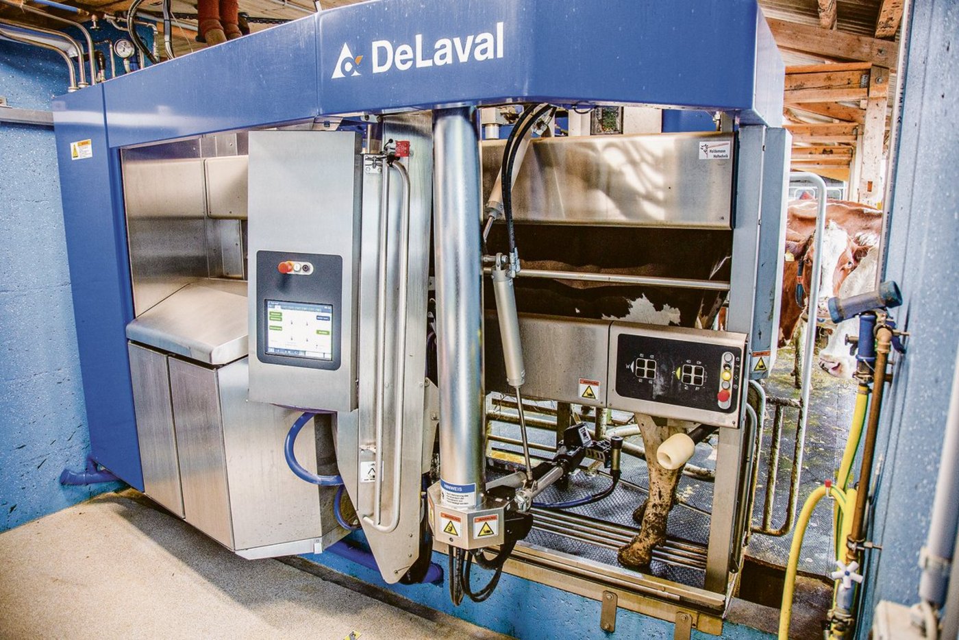 Insgesamt dürften 2020  gegen 300 neue automatische Melksysteme verkauft worden sein, damit nähert man sich bereits der 10-Prozent-Grenze an.