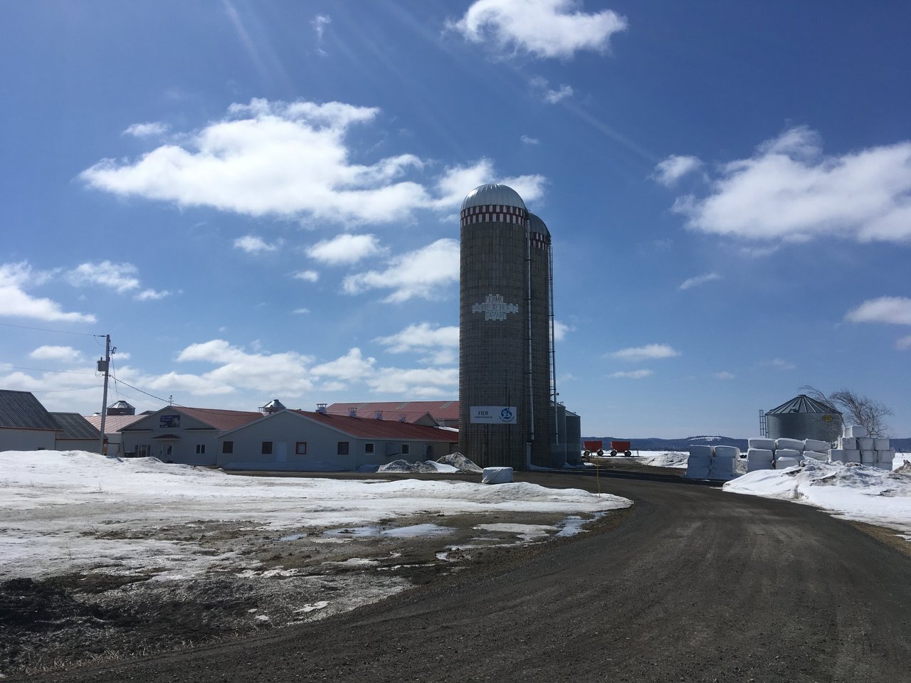 Kanadische Milchbauern kommen unter Druck. (Bild sbu)