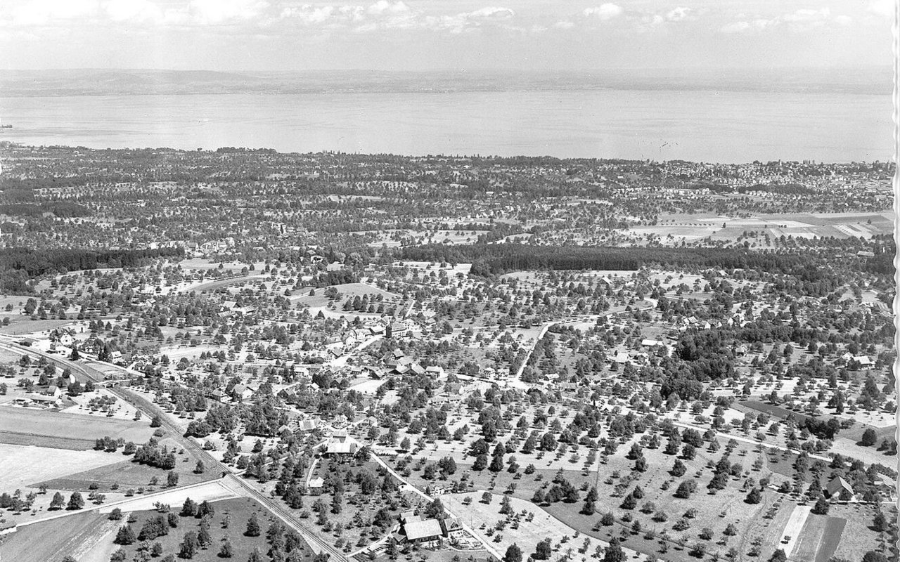 Bis in die 1950er-Jahre ein typisches Bild für den Thurgau: Hochstammbäume so weit das Auge reicht in der Gemeinde Freidorf im Jahr 1958. Im Hintergrund der Bodensee.