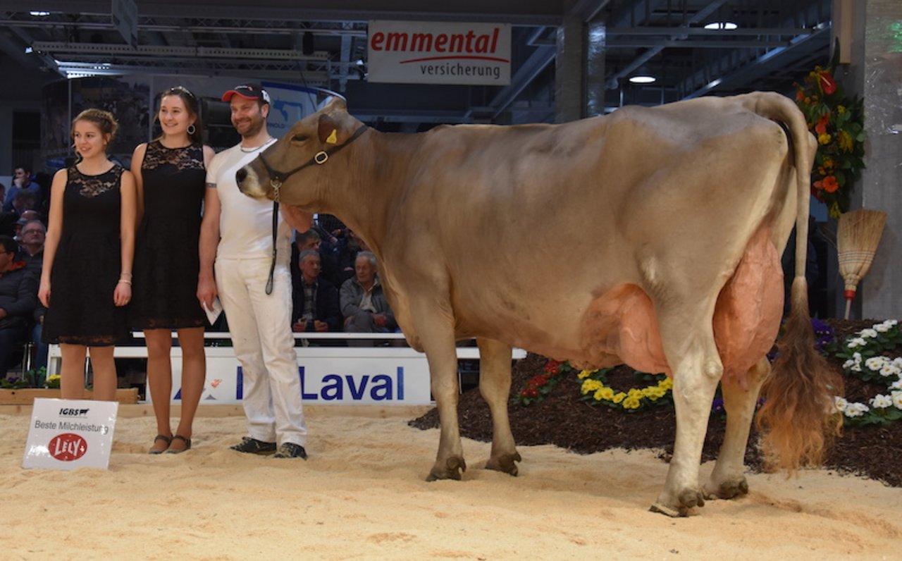 Dombo Sarine von Hubert Kühne aus Goldingen holte den Titel für die höchste Milchleistung. 