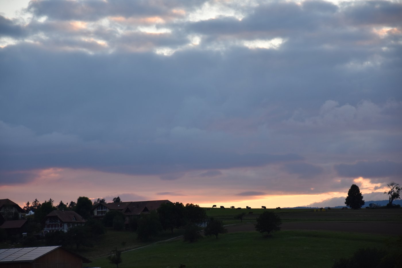 Ein lehrreicher Flurgang geht dem Ende zu. Ein schöner Blick an den Horizont gibt es noch als Abschiedsgeschenk mit dazu. (Bilder Bauernzeitung/Sera Jane Hostettler)