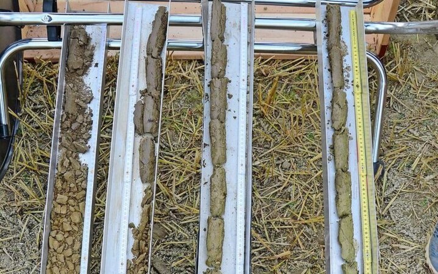 Vier Bohrkerne zeigen kleinräumig Unterschiede innerhalb einer Parzelle. Links: zweimal sandiger Boden; rechts: zweimal toniger Boden.