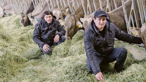 Ilja Devnozashvili (links) und Giorgi Aslamazashvili arbeiten am Plantahof. Die beiden Georgier bereiten sich auf ihre Aufgaben als Angestellte des Gutsbetriebs der Swiss Agricultural School Caucasus vor.(Bild Christian Weber)