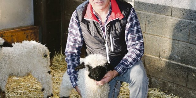 Daniel Steiner präsidiert die Schwarznasenzüchter.