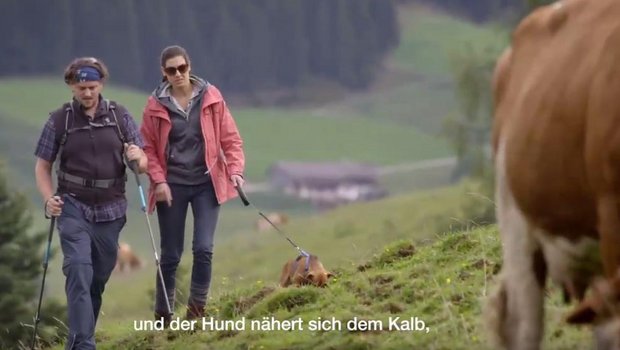 In einem Video erklärt die Landwirtschaftskammer Tirol, wie man sich als Wanderer verhalten soll. (Screenshot Youtube/Landwirtschaftskammer Tirol)