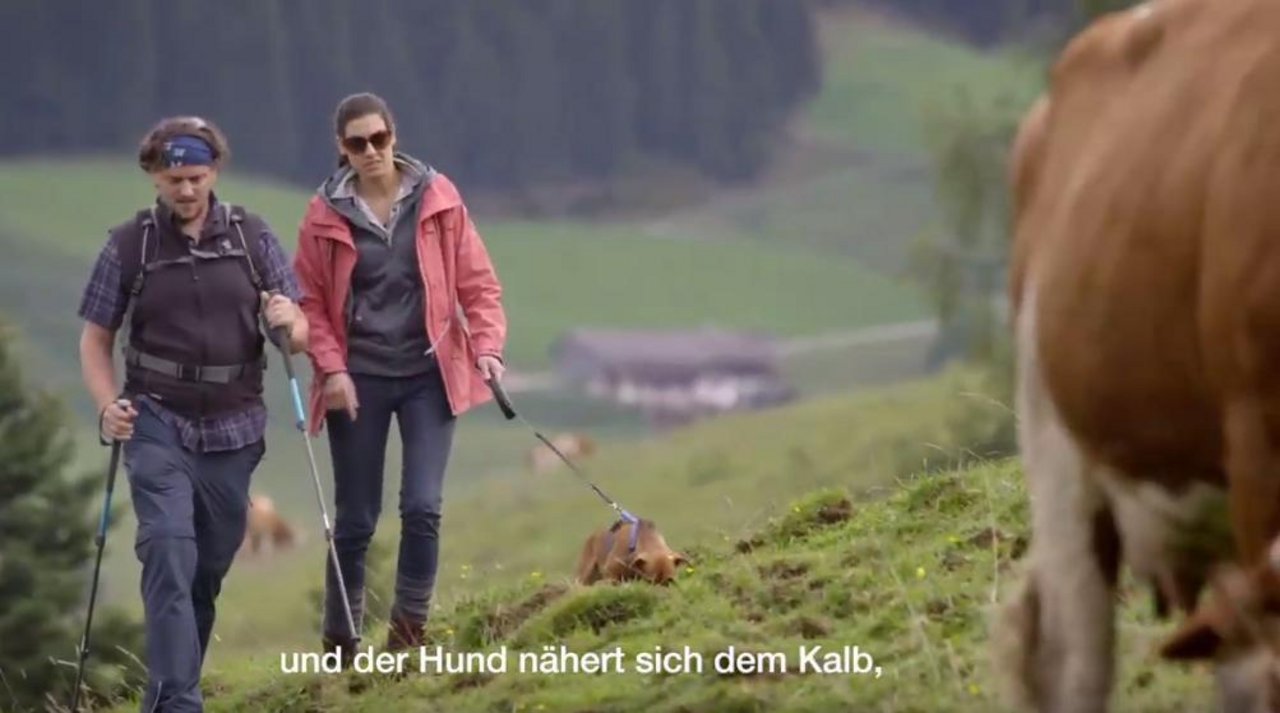 In einem Video erklärt die Landwirtschaftskammer Tirol, wie man sich als Wanderer verhalten soll. (Screenshot Youtube/Landwirtschaftskammer Tirol)