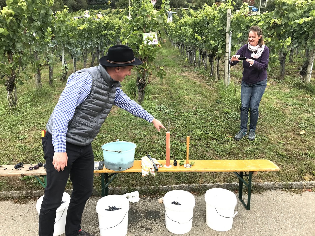 Im Weinseminar lernen die Teilnehmenden, was in einem Wein steckt. (Bild GVS Weinkellerei)