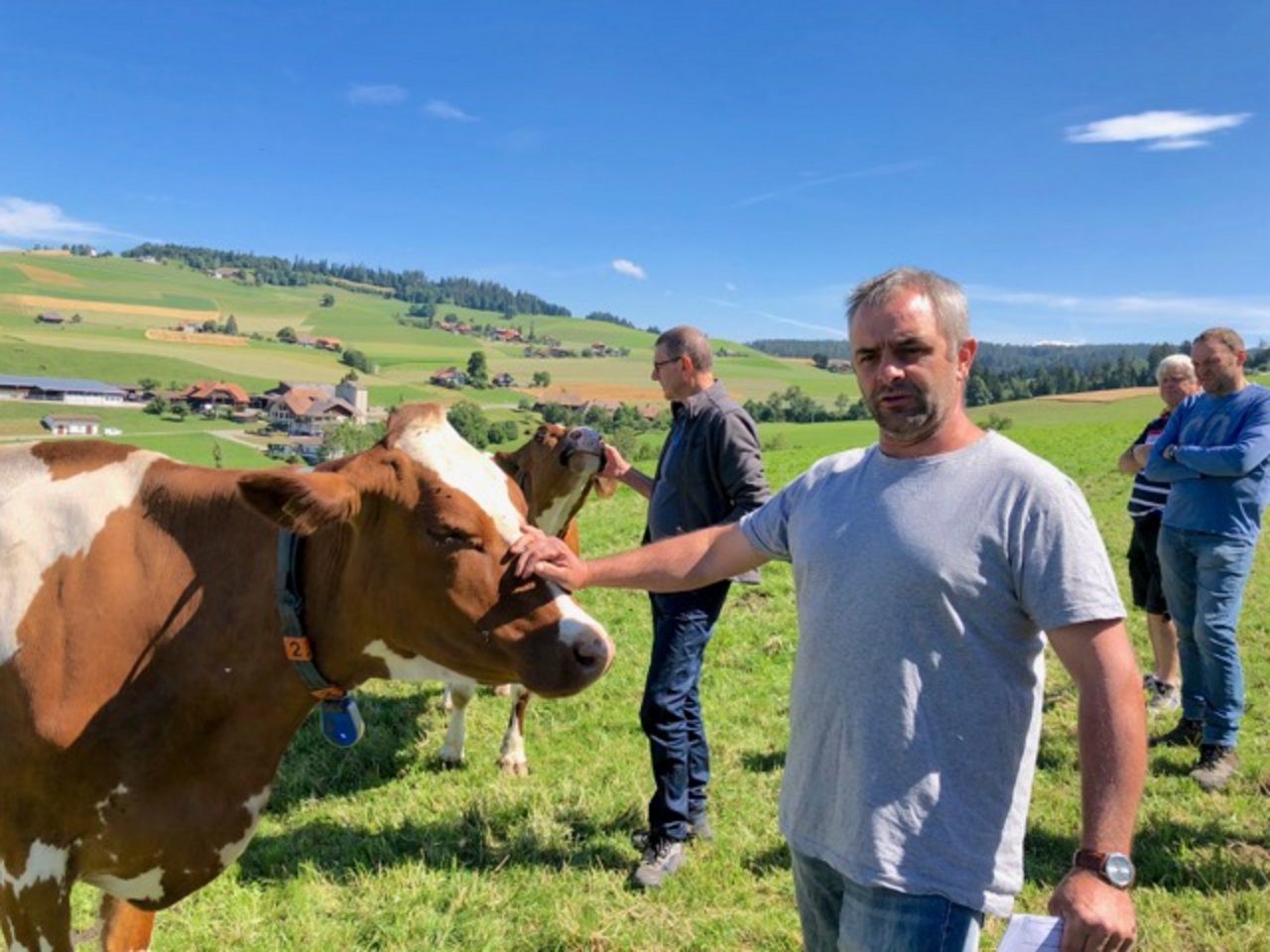 Hanspeter Käser aus Biglen BE stellte seine Herde der IG Neue Schweizer Kuh vor. (Bilder Jasmine Baumann)