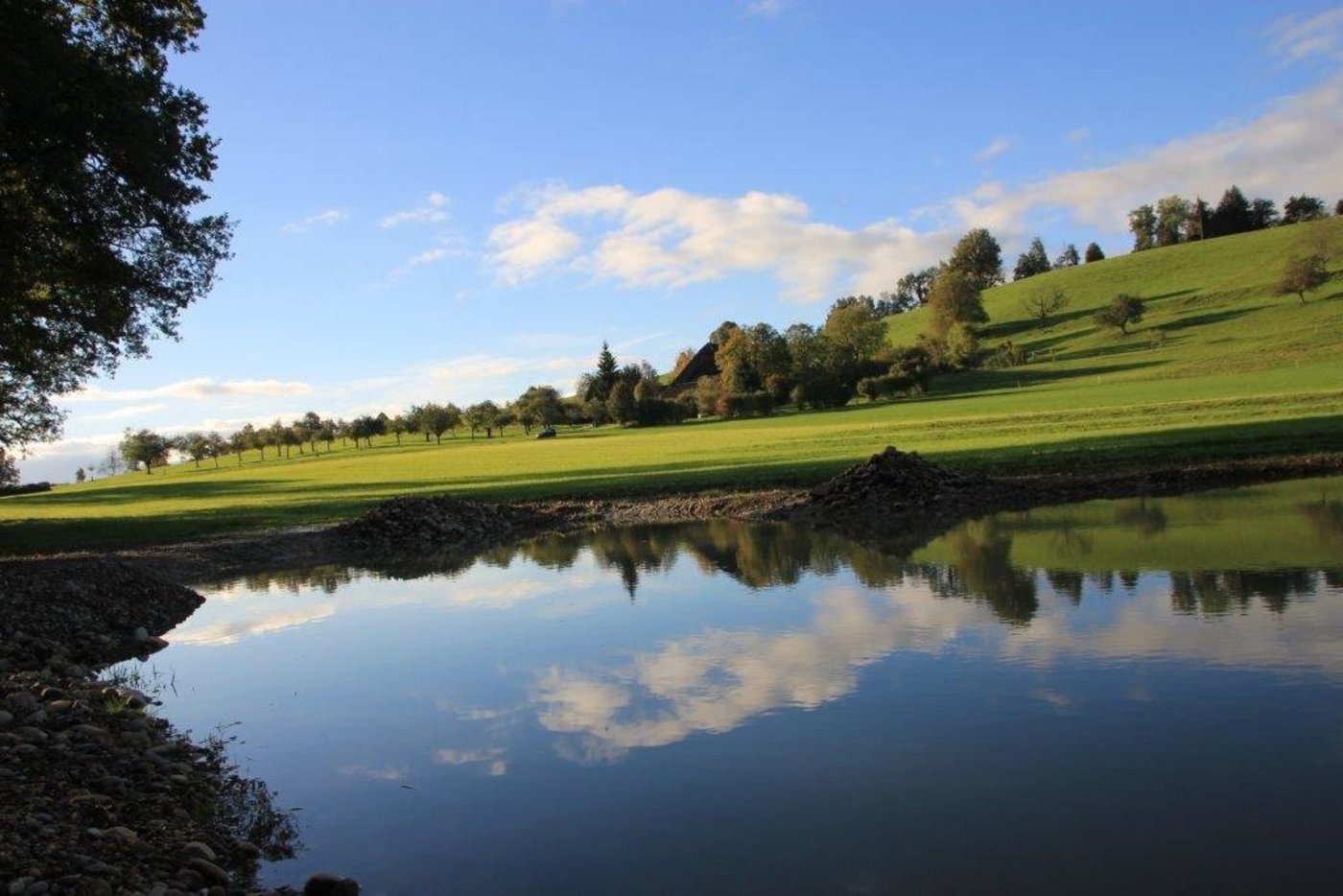 Das Beispiel eines Weihers vorher... 