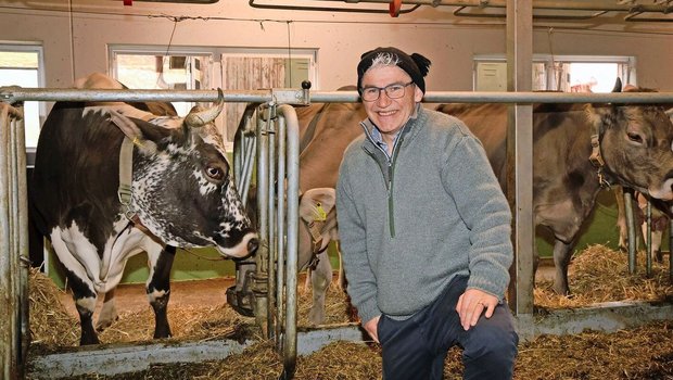 Christian Manser mit Christian Manser mit einer Blüem-Kuh im Stall von Familie Brunner. Manser zeigte in seinem Vortrag, wie man das Tierwohl in einem Anbindestall mit Aufmerksamkeit und wenigen Massnahmen massgeblich verbessert.