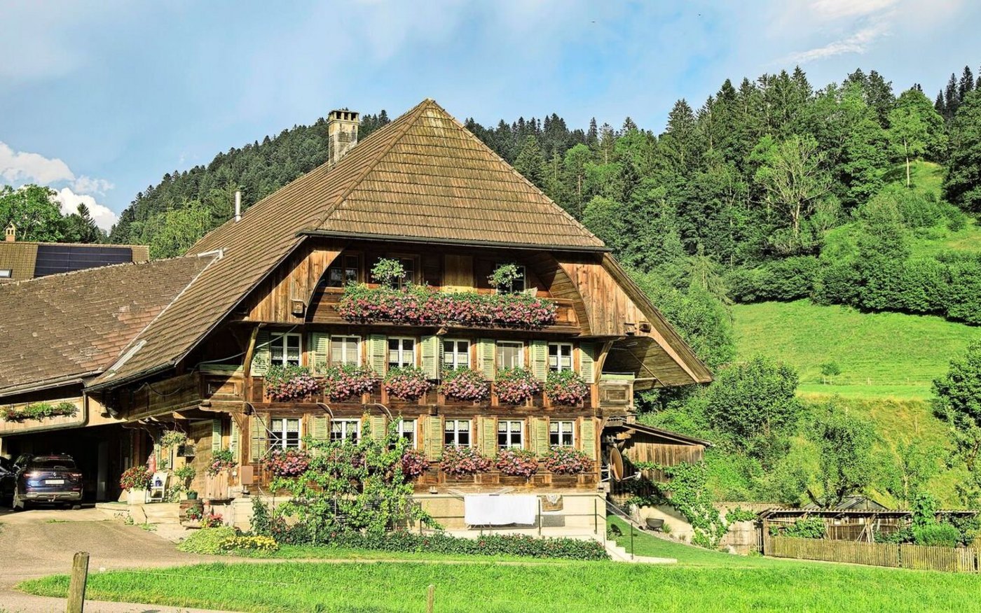 Die traditionelle Pracht an Bauernhäusern und in ihren Gärten verursacht Freude, aber auch viel Arbeit. Was, wenn es einfach nicht für alles reicht? Wer Geflügel mag, kann auf der Gartenfläche zum Beispiel Gänse halten. Aber Vorsicht: es handelt sich um ein Weidetier.  