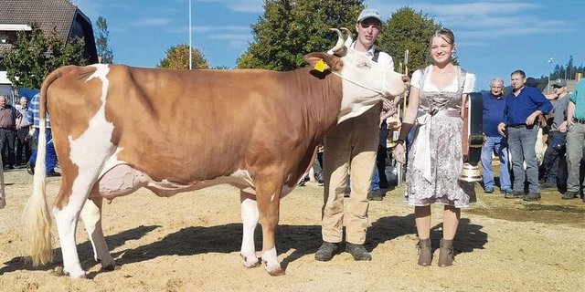 Die schönste Simmentalerkuh war Brisago-Tochter Red Sun von Lukas Portmann, Wiggen.