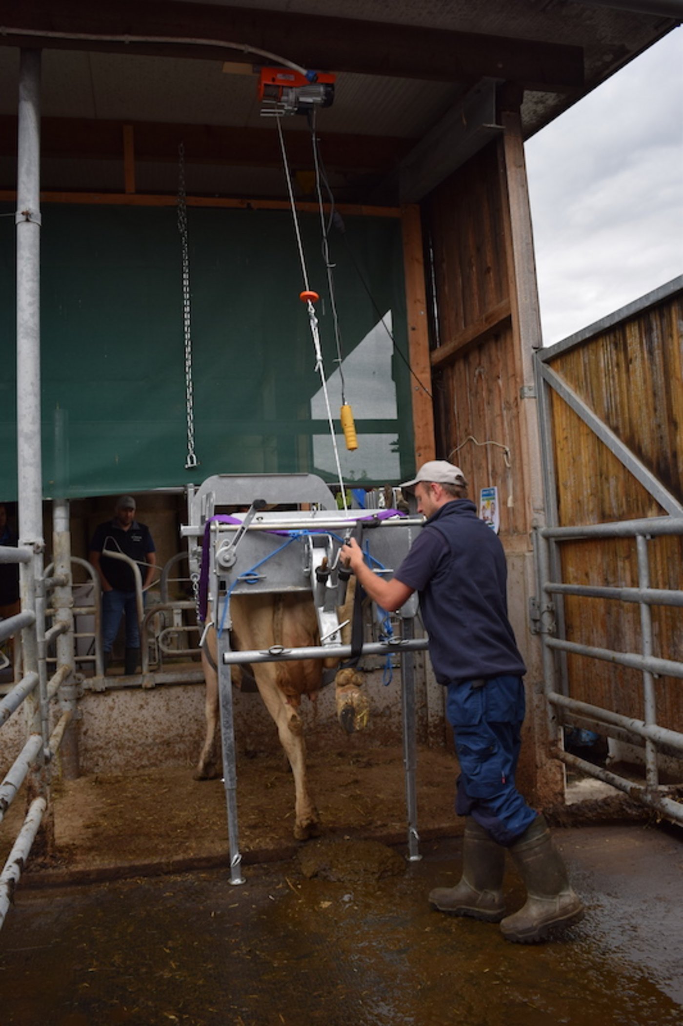Der Hinterfuss wird mittels Elektro-Winde hochgezogen.
