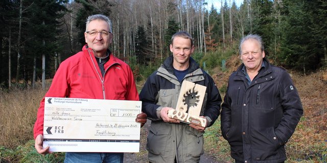 Von links nach rechts: Mario Inglin, Revierförster Unterer Sensebezirk, Martin Zbinden, Präsident Waldbauverein Sense, Fritz Burkhalter, Präsident WaldFreiburg. (Bild zVg)