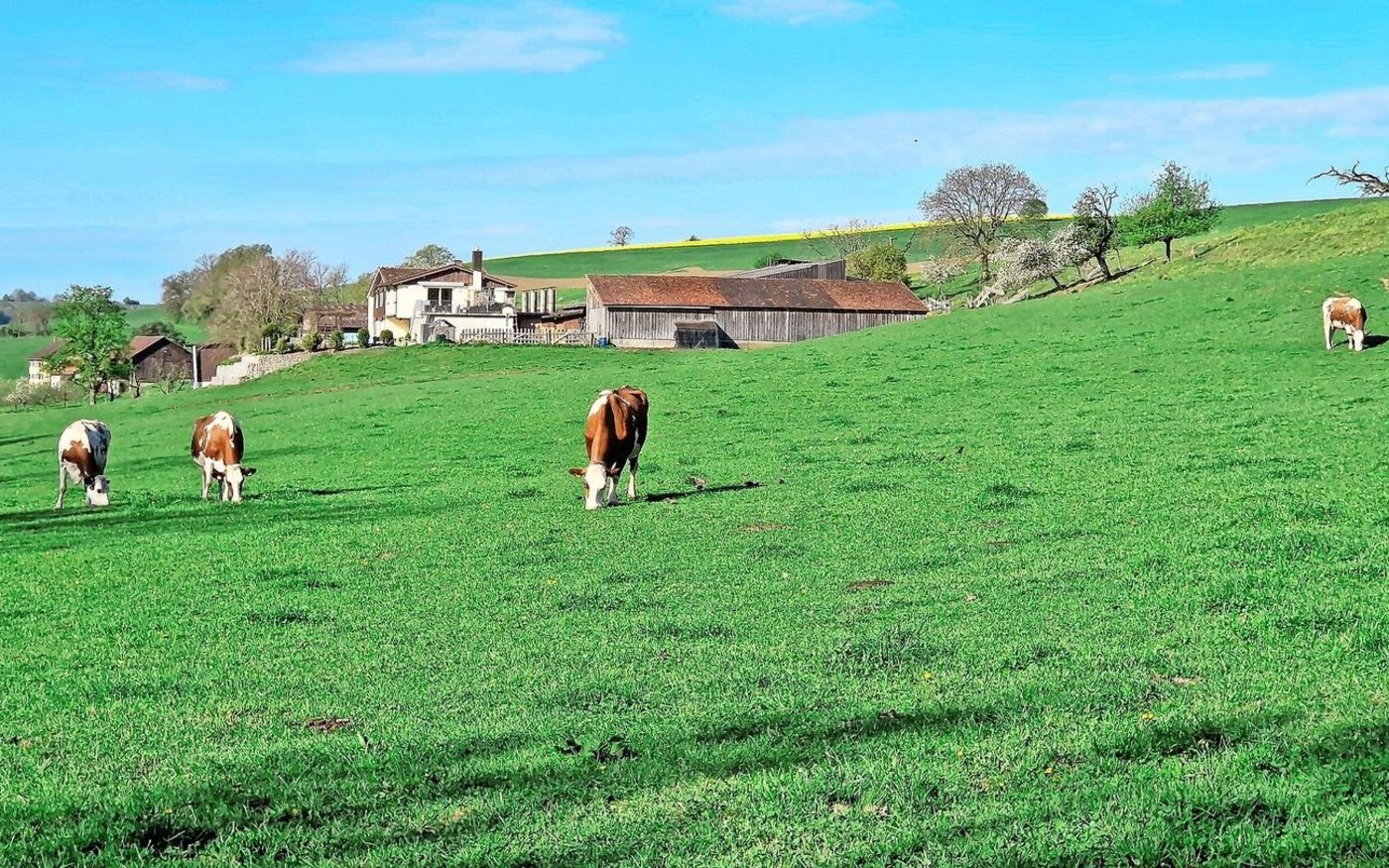 Der Miltenhof liegt idyllisch und etwas abgelegen ausserhalb von Schleitheim.