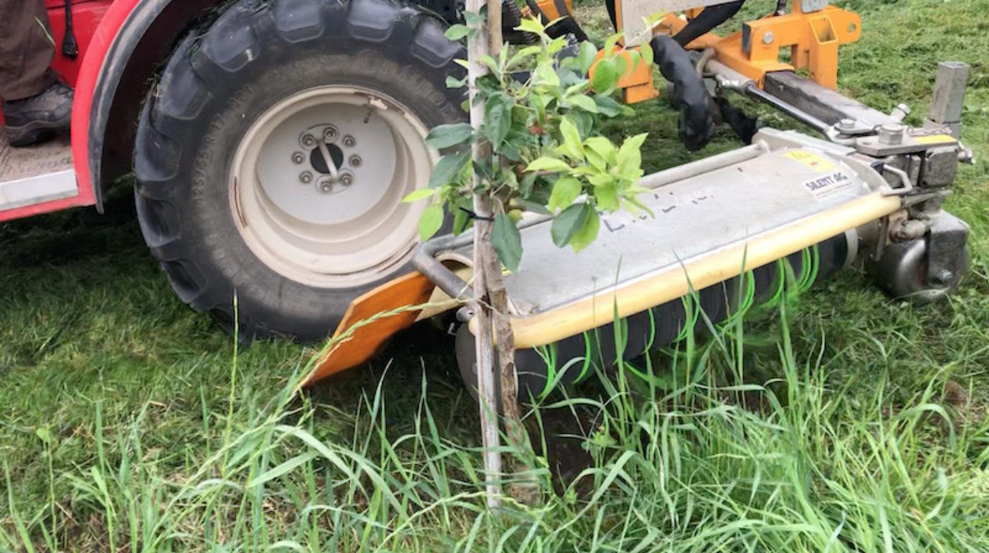 Mit dem Bio Liner geht es dem Gras in Stammnähe an den Kragen ohne dabei die Bäume zu verletzen. (Bild et)