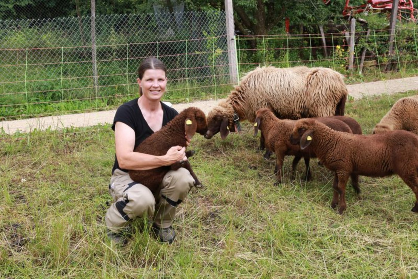 Yvonne und Benedikt Hossli halten eine Herde Engadinerschafe. Die Tiere bekommen ausschliesslich Gras und Heu, das Fleisch wird direktvermarktet. (Bilder ly) 
