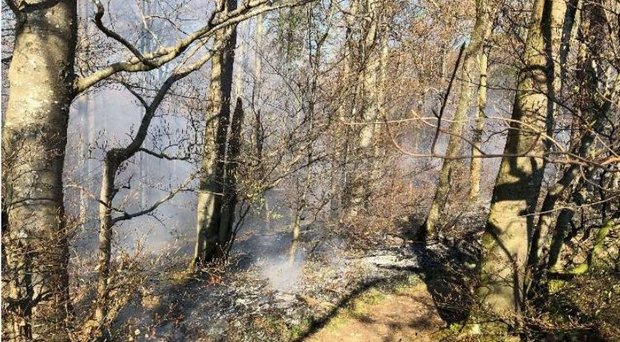Am Karfreitag 2020 brannte bei Balsthal SO ein grösseres Waldstück. Die Polizei ging davon aus, dass weggeworfene Raucherware Ursache sein könnte. (Bild Kapo SO)