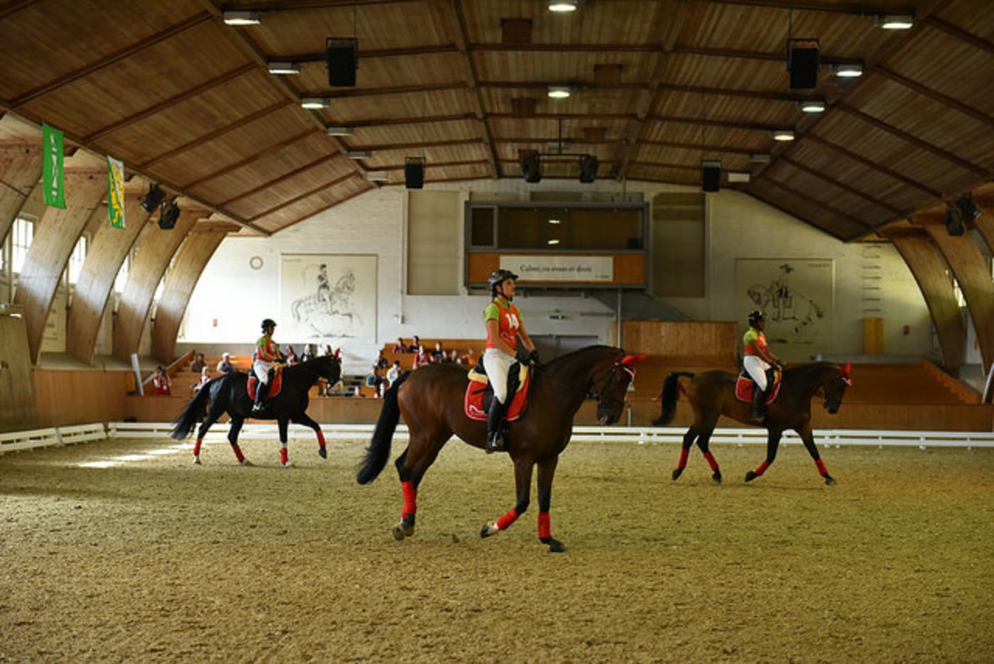 Bei den Pferdefachfrauen wird im Finale geritten.