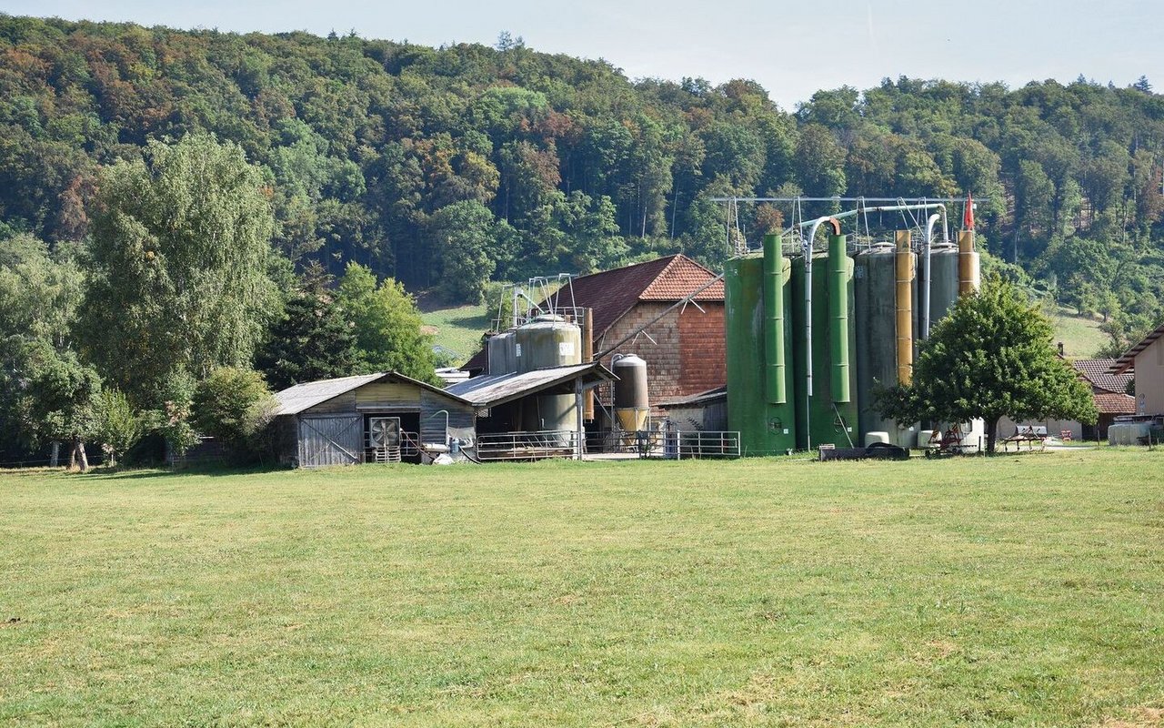 Der Betrieb liegt im Berner Seeland, die Böden sind fruchtbar – aber mehr Ackerbau würde sich nicht lohnen. 