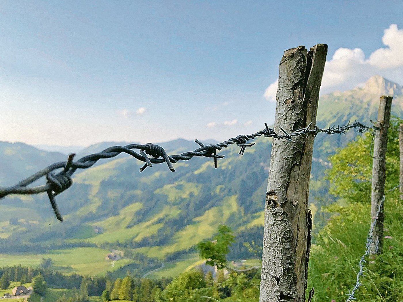 Im Kanton Bern gibts für Zäune mit Holzpfählen Geld. Auch wenn sie mit Stacheldraht versehen sind. (Bild zVg)