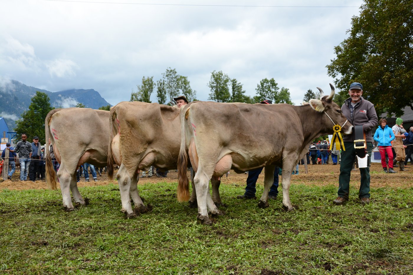 Das Podest Schöneuter OB (v.l.n.r.): Madeira, Theo und Toni Kempf, Attinghausen (3.); Belinda, Gusti Zurfluh, Isenthal (2.); Pia, Josef Kempf, Isenthal (1.).