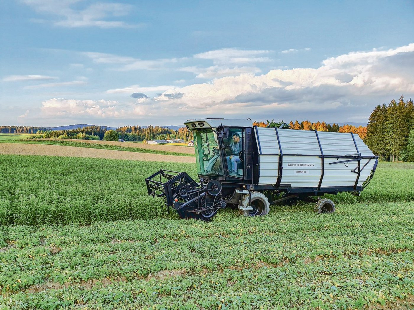 Mit dem selbst gebauten Kräuterernter erntet Johannes Bergsmann acht Ladungen Kräuter pro Tag. (Bilder Johannes Bergsmann)