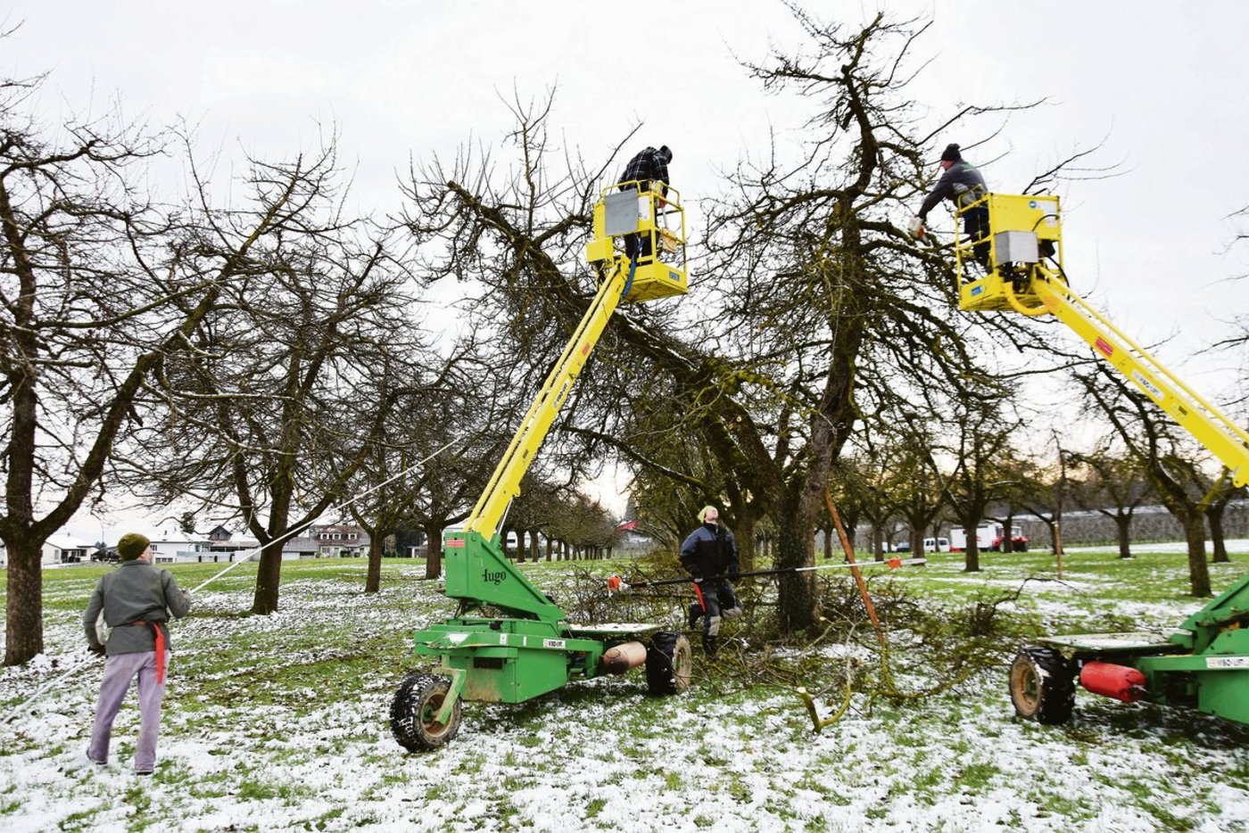 Die Baumschnittgruppe der Mosterei Ramseier Aachtal AG aus Oberaach macht in Altnau am Bodensee Station. (Bilder Urs Oskar Keller)